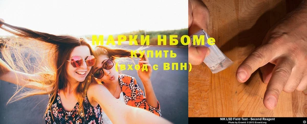 индика Нязепетровск